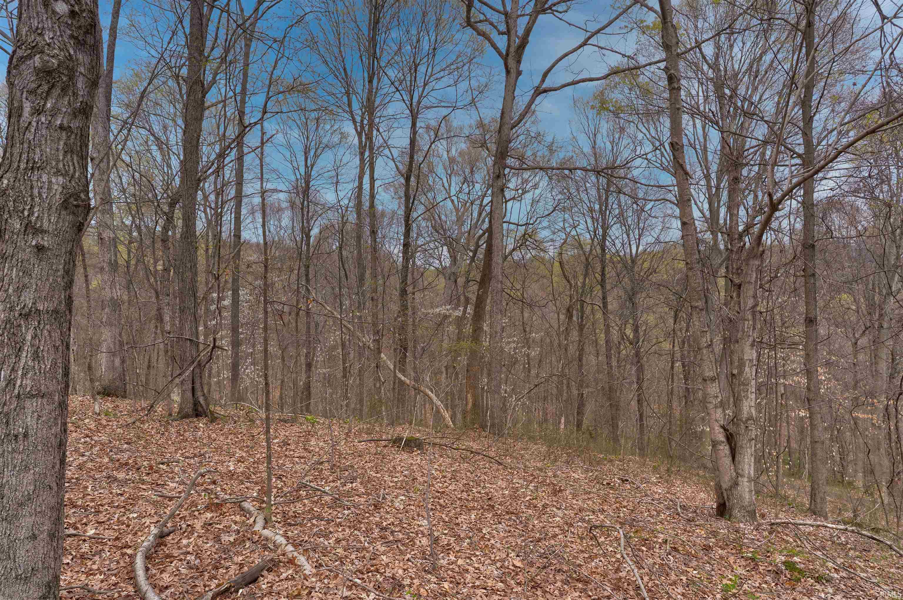 0 Brushy Fork Road Tell City, IN 47586 - Photo 25 of 30