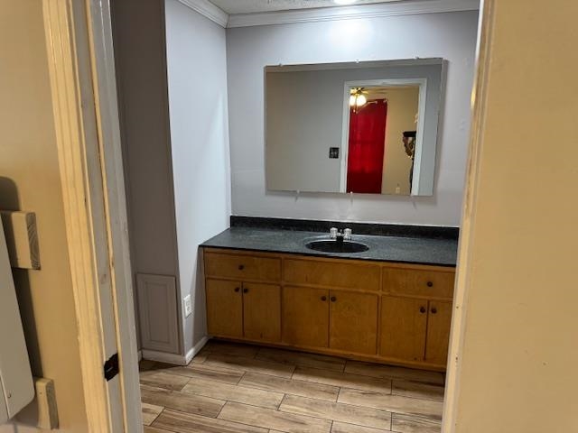 320 Rabbit Ranch Road Henderson, TN 38340 - Photo 15 of 29 Wood-finish flooring with a light wood vanity featuring a black countertop and integrated sink