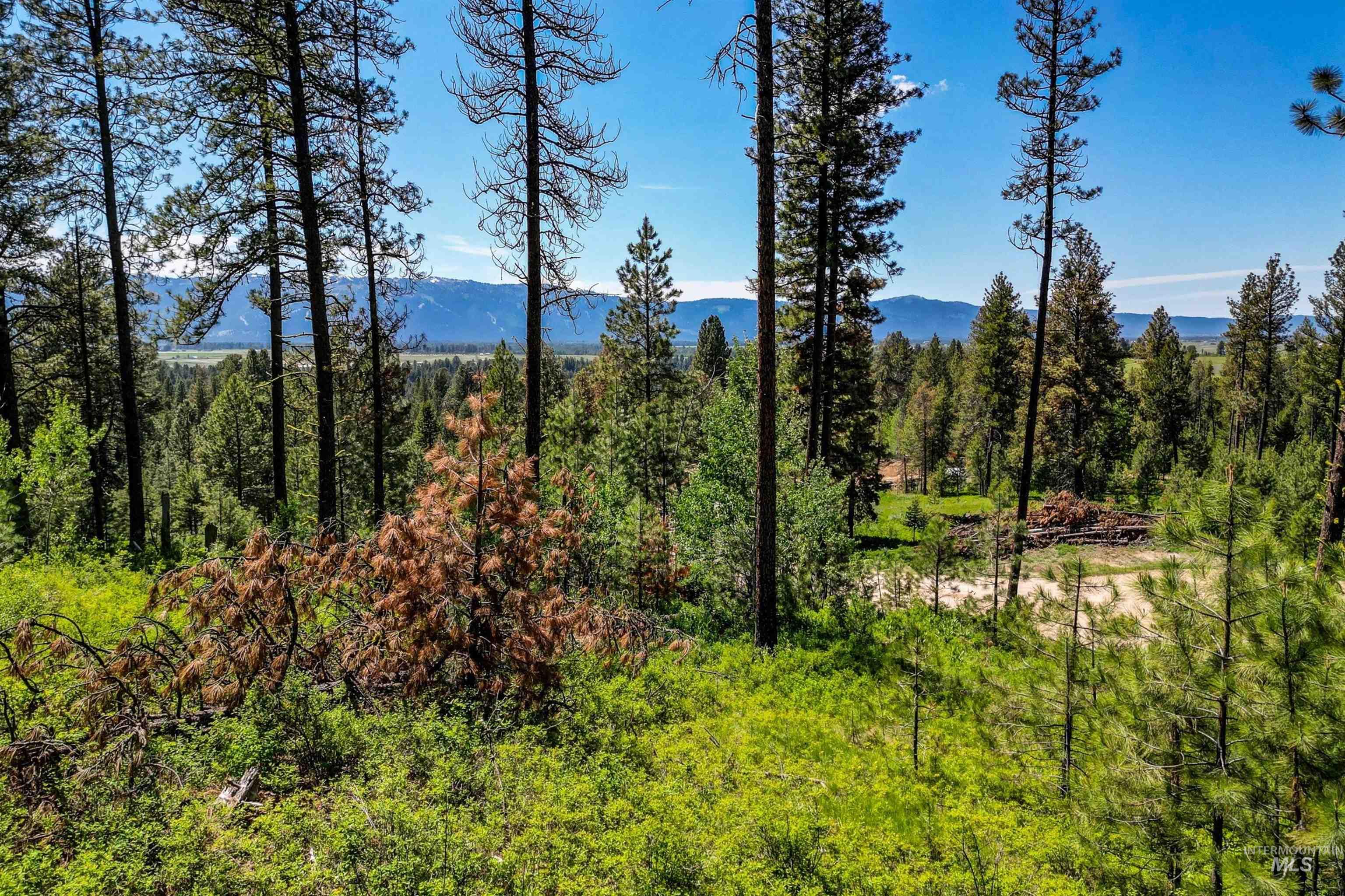 Lot 2 Hideout Road Donnelly, ID 83615 - Photo 4 of 12