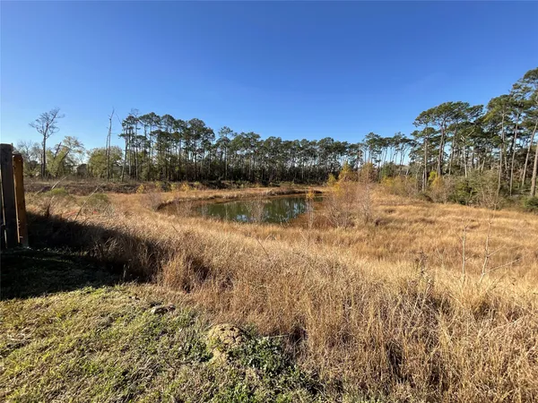 a view of a lake with a yard