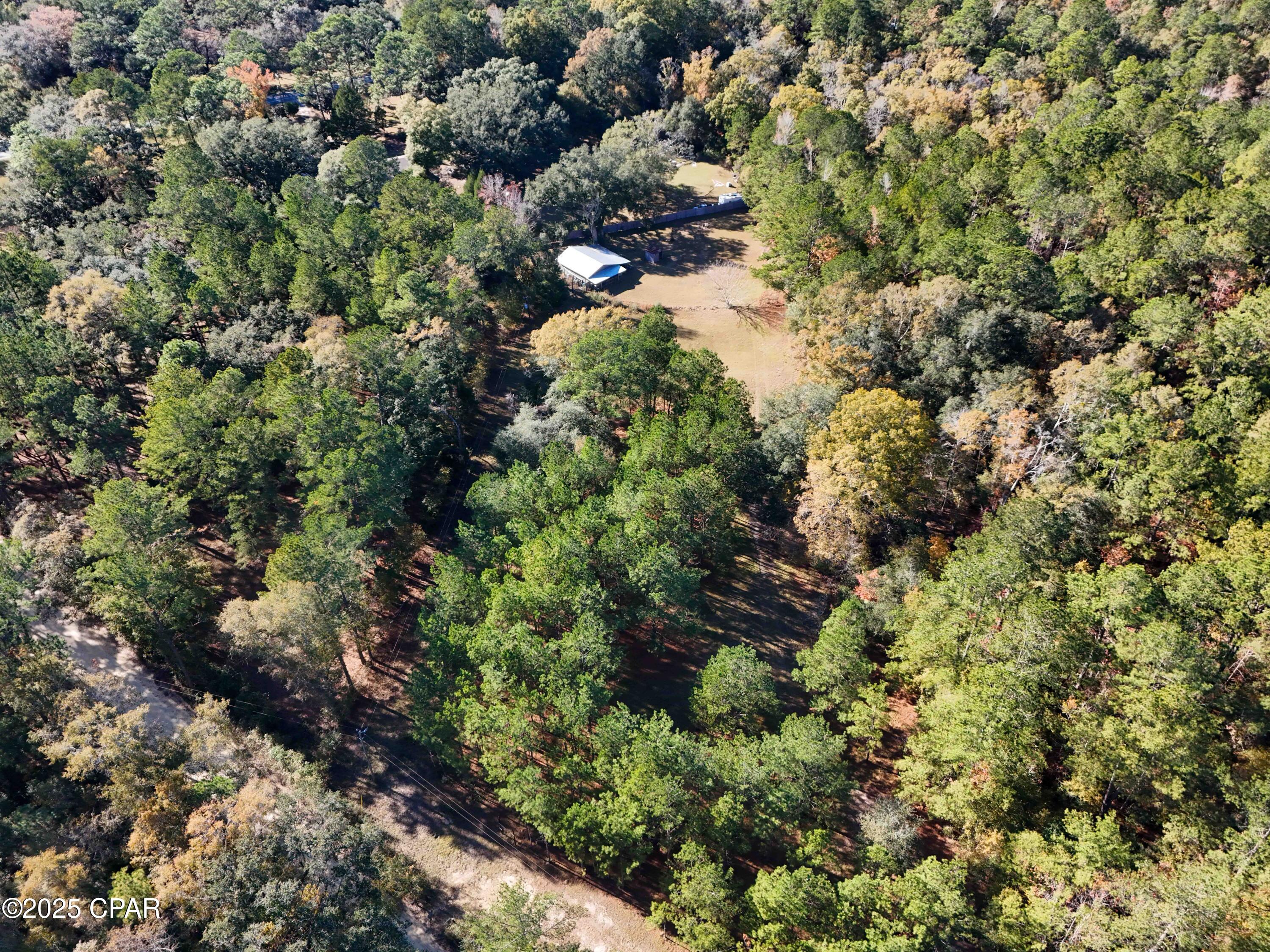 1680 Will Lee Road Bonifay, FL 32425 - Photo 19 of 22