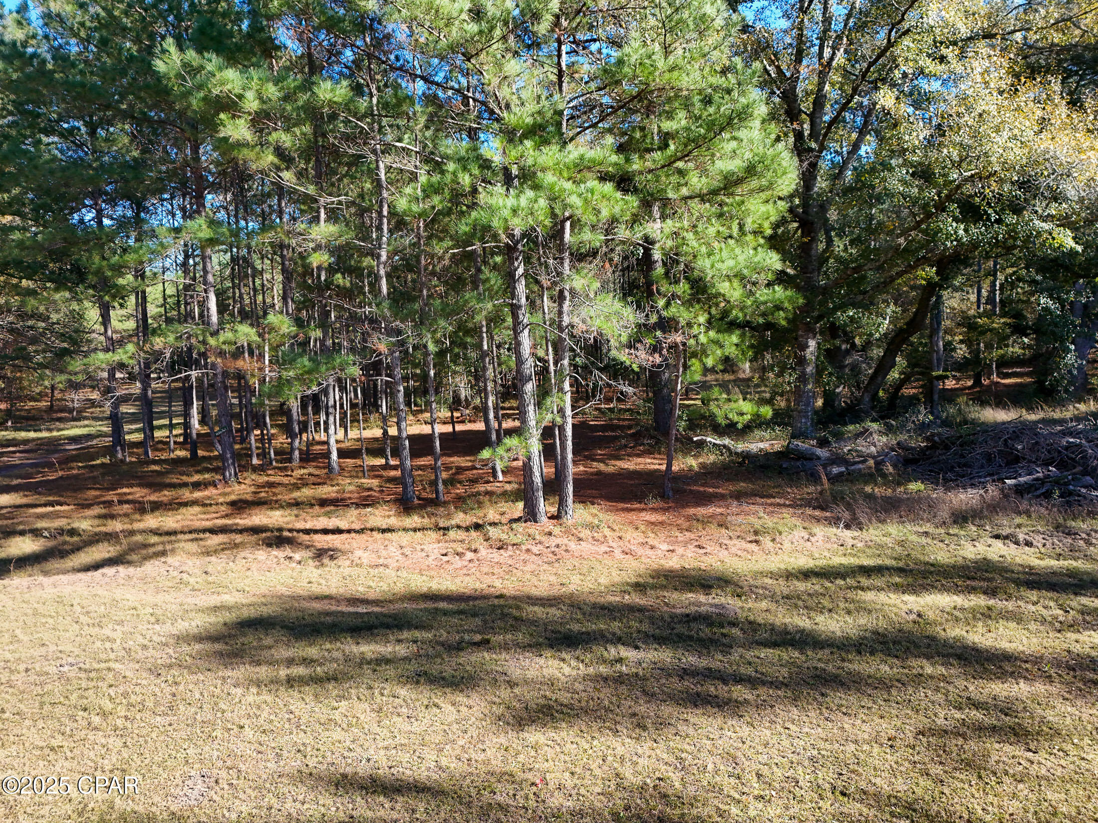 1680 Will Lee Road Bonifay, FL 32425 - Photo 20 of 22