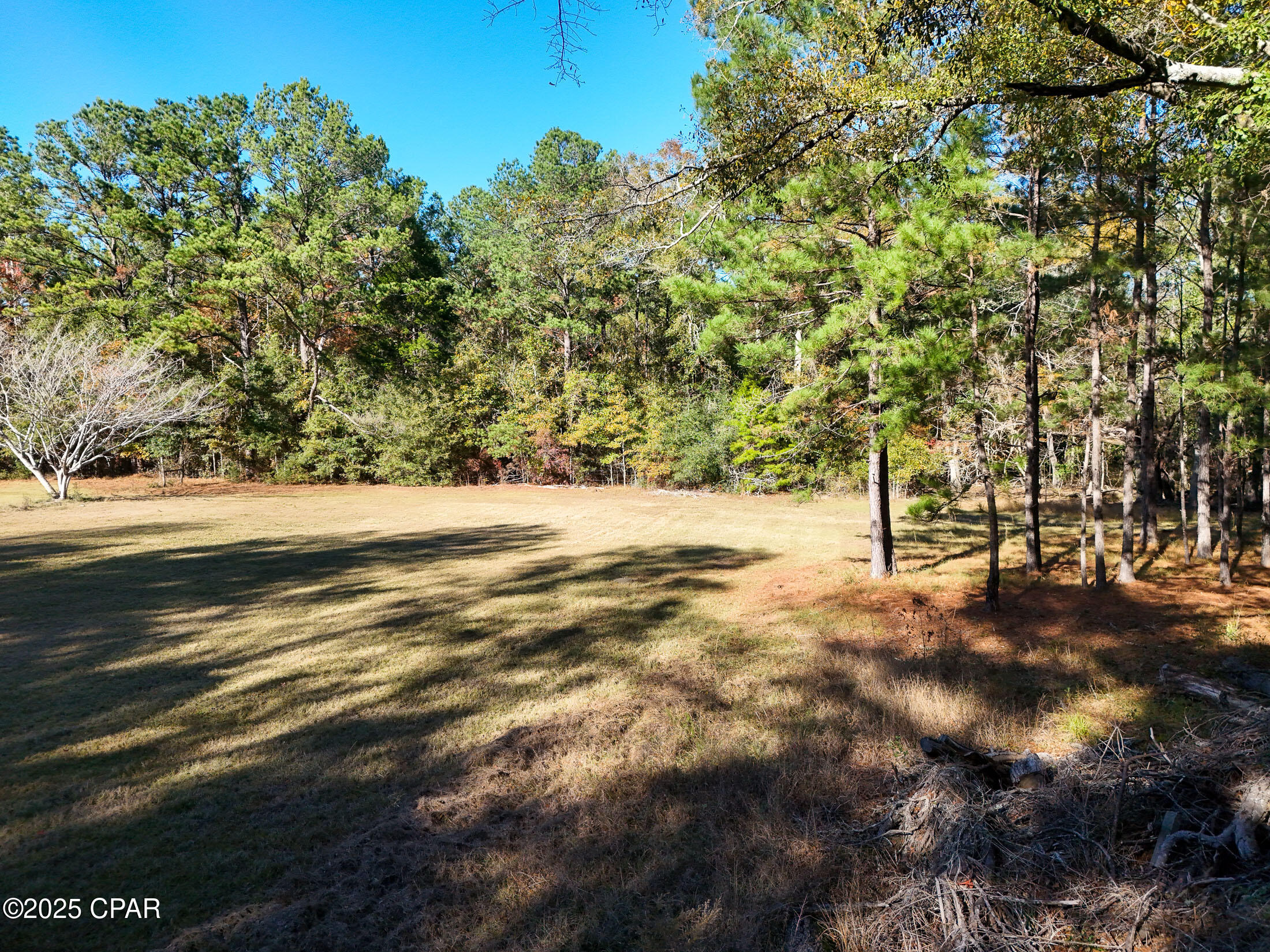 1680 Will Lee Road Bonifay, FL 32425 - Photo 21 of 22