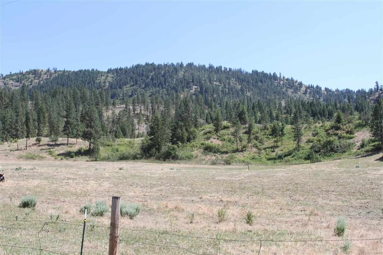 Lot 1 Springdale-Hunters Road Hunters, WA 99137 - Photo 5 of 5