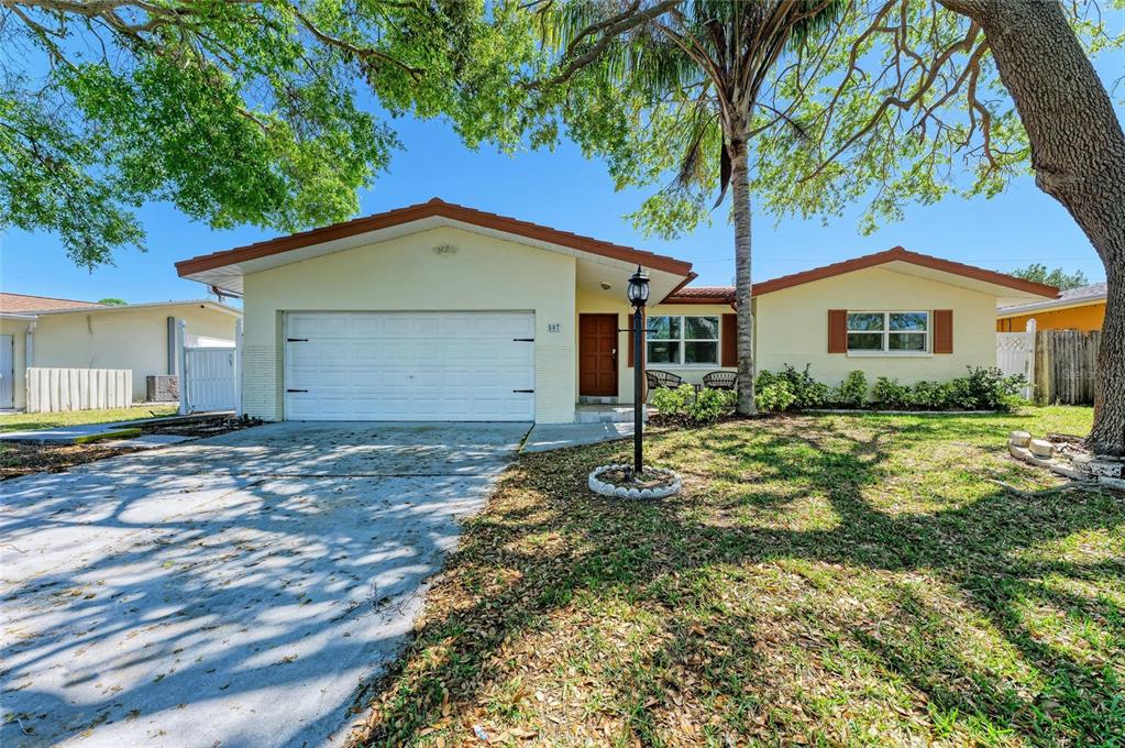 a backyard of a house with plants and large tree