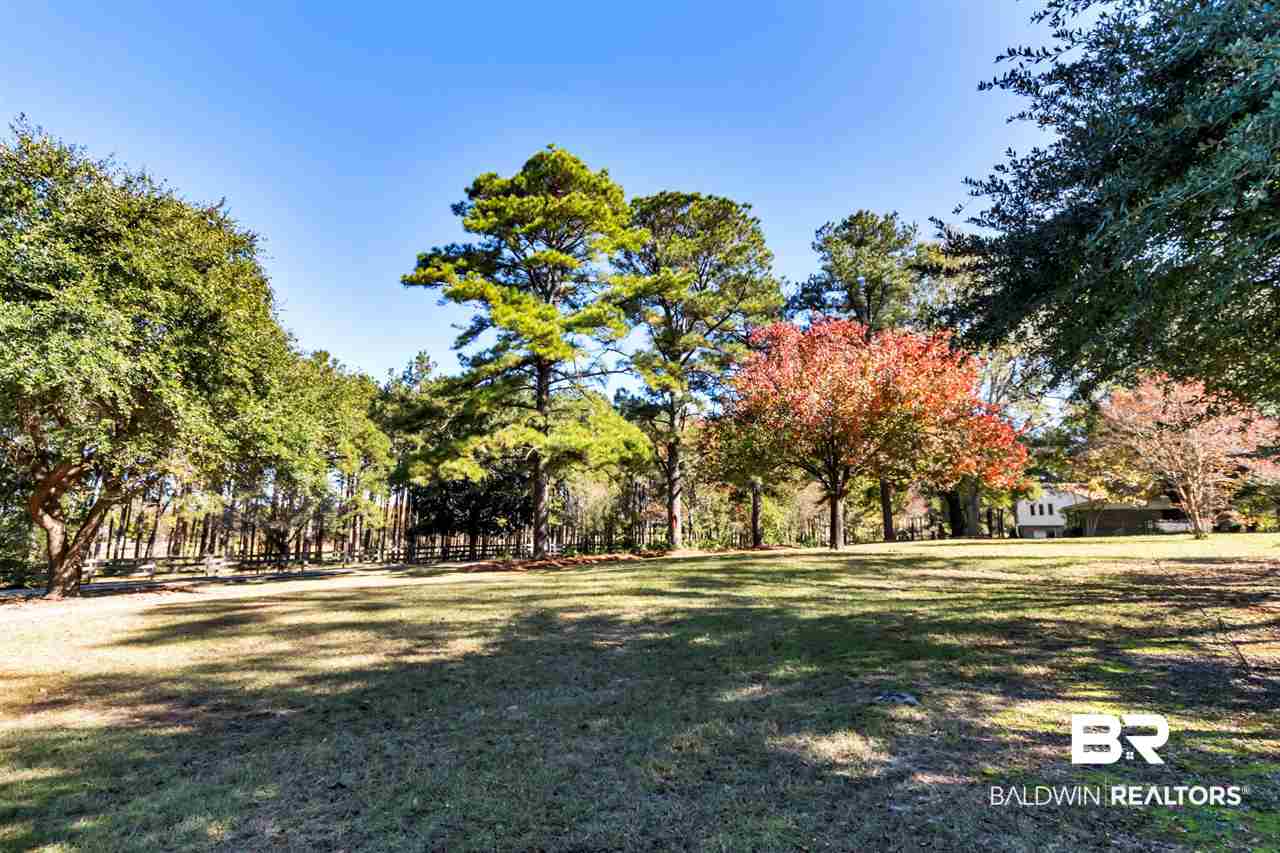 133 Allen Walker Road Grove Hill, AL 36451 - Photo 46 of 46 Front Yard