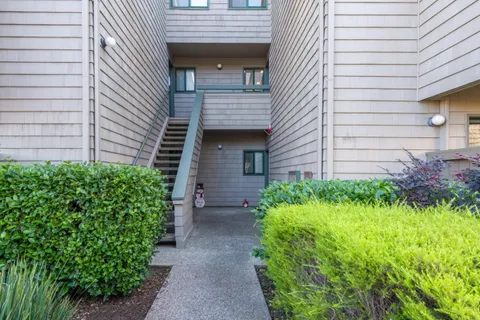 a view of a backyard with plants