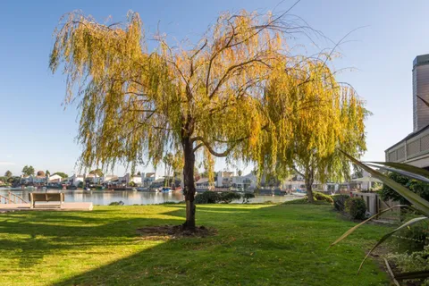 a view of swimming pool with a garden and trees