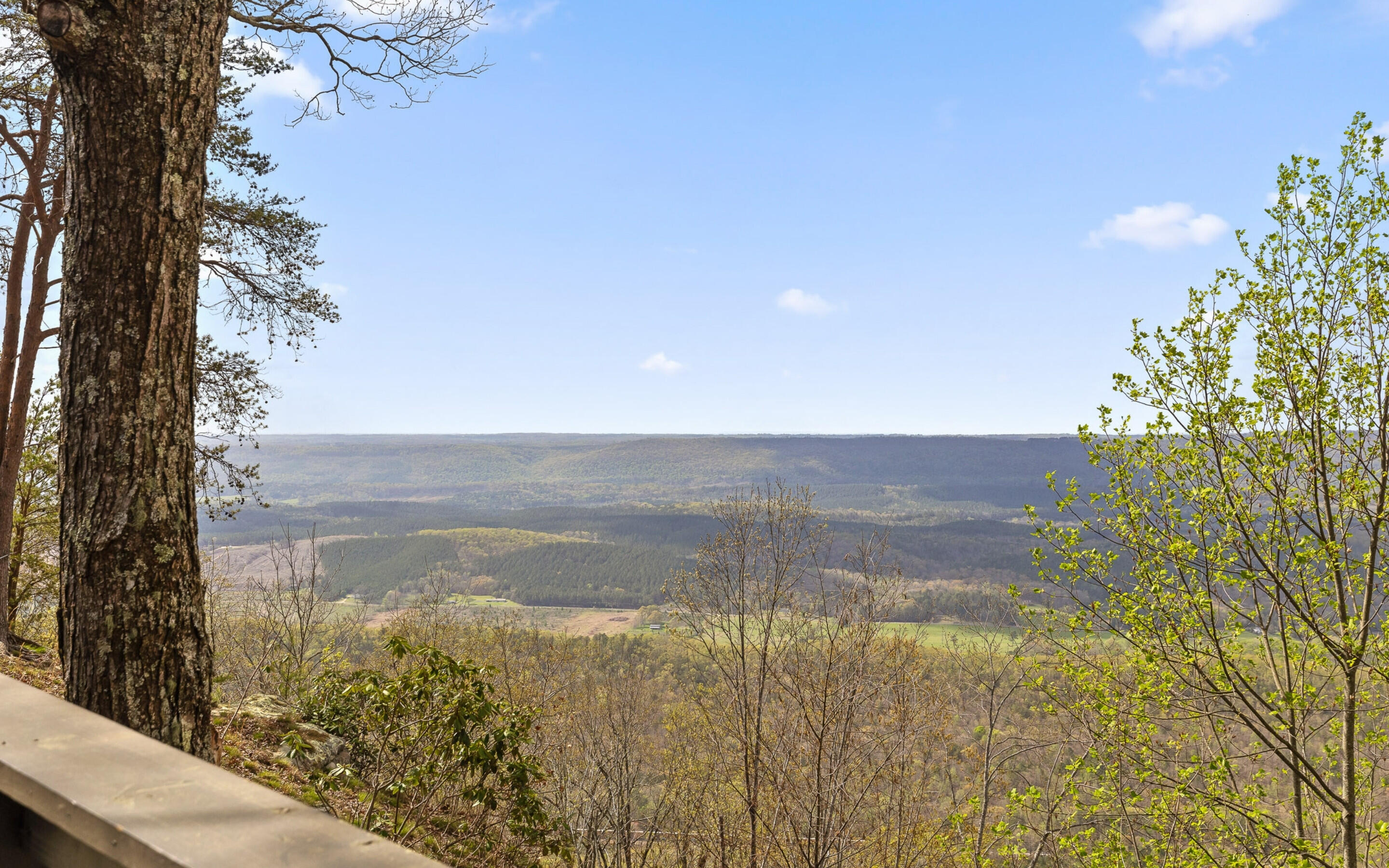 27471 County Road 89 Mentone, AL 35984 - Photo 35 of 57 View from Rear Deck