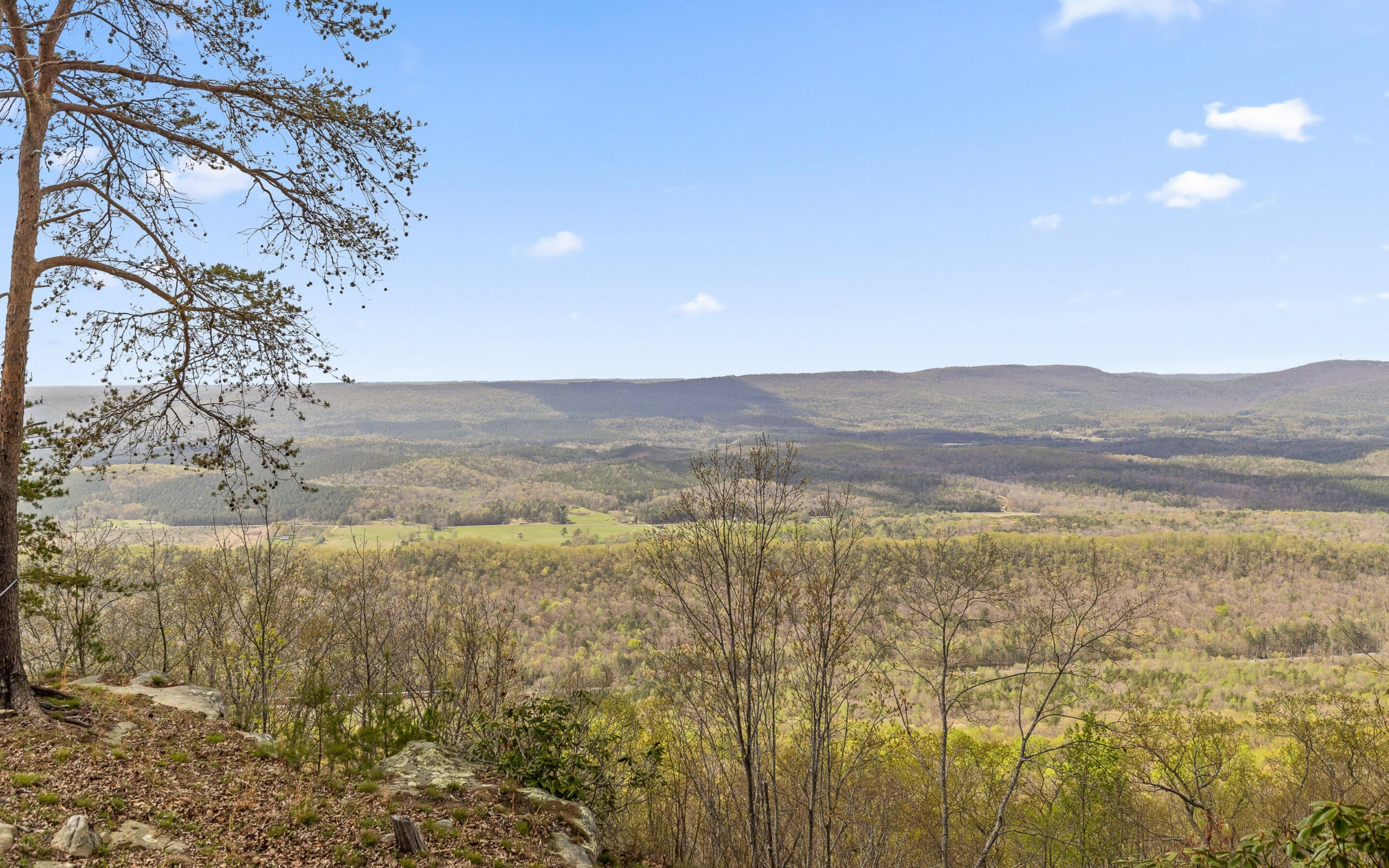 27471 County Road 89 Mentone, AL 35984 - Photo 38 of 57 Mountain Views