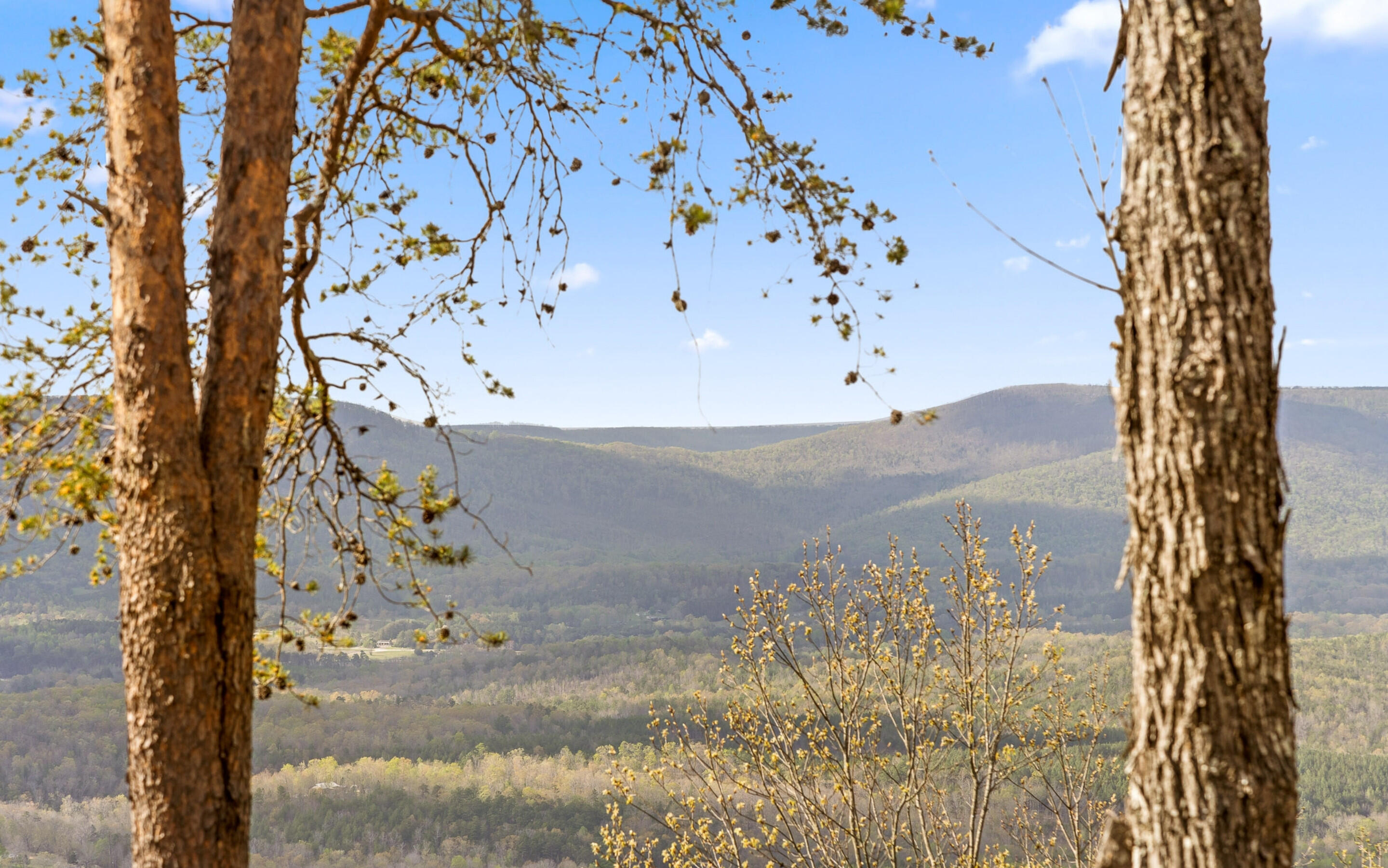 27471 County Road 89 Mentone, AL 35984 - Photo 6 of 57 Nature at its Finest