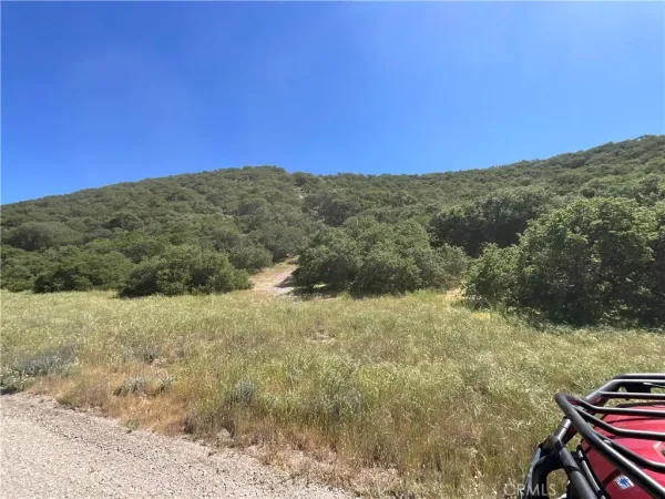 a view of a yard with mountain
