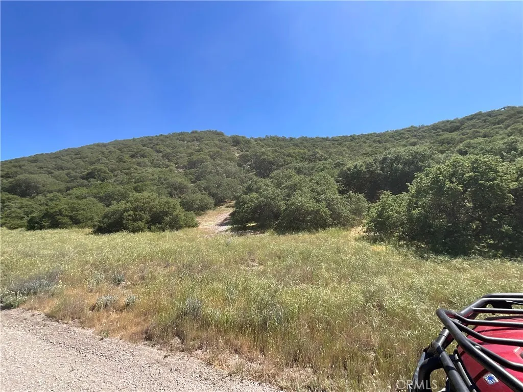 a view of a yard with mountain
