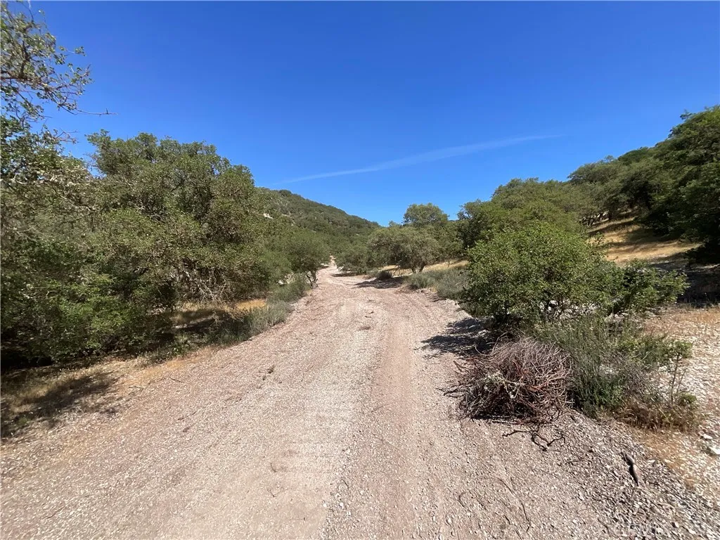 105 Paulsen Road King City, CA 93930 - Photo 20 of 25 a view of a road with mountain view