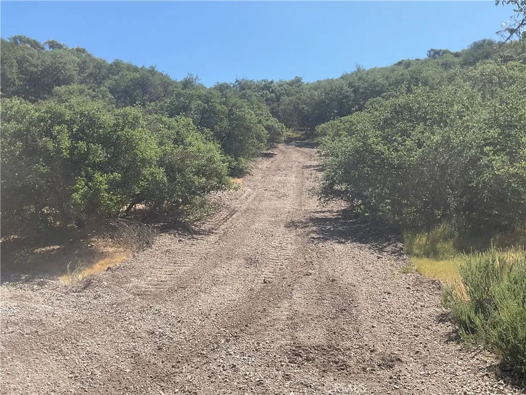 105 Paulsen Road King City, CA 93930 - Photo 22 of 25 a view of a yard with a tree