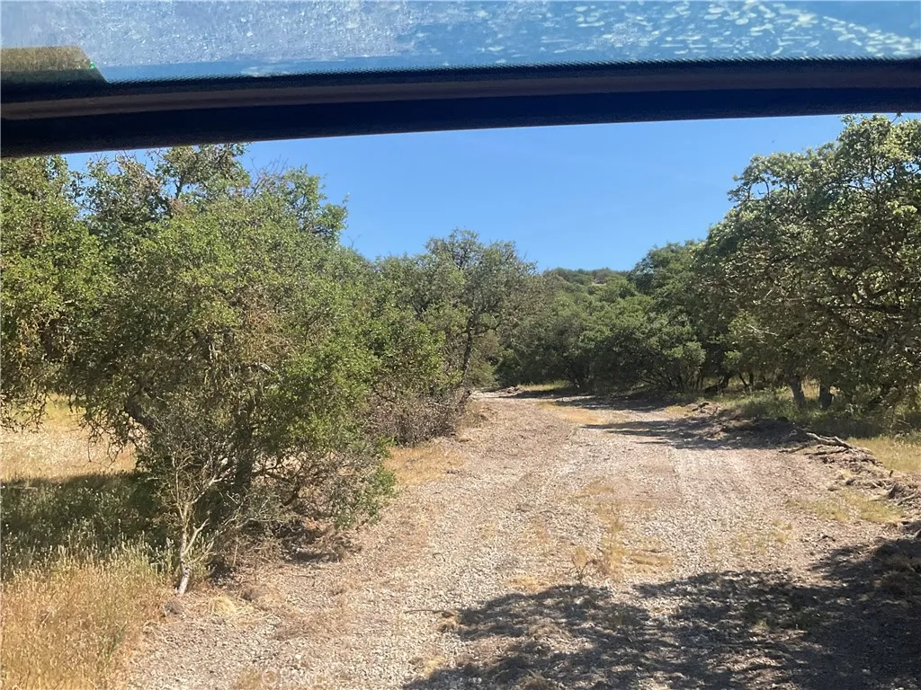 105 Paulsen Road King City, CA 93930 - Photo 23 of 25 a view of a yard with an outdoor space