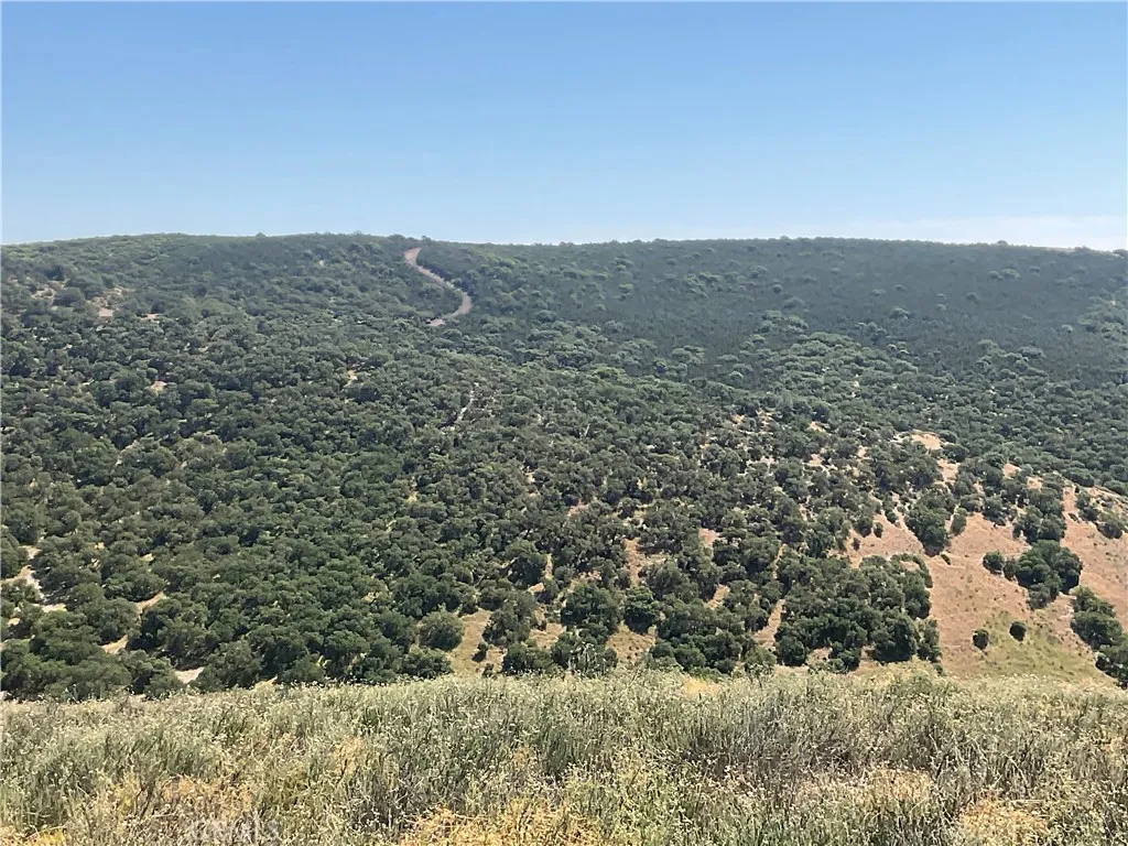 105 Paulsen Road King City, CA 93930 - Photo 10 of 25 view of city and mountain