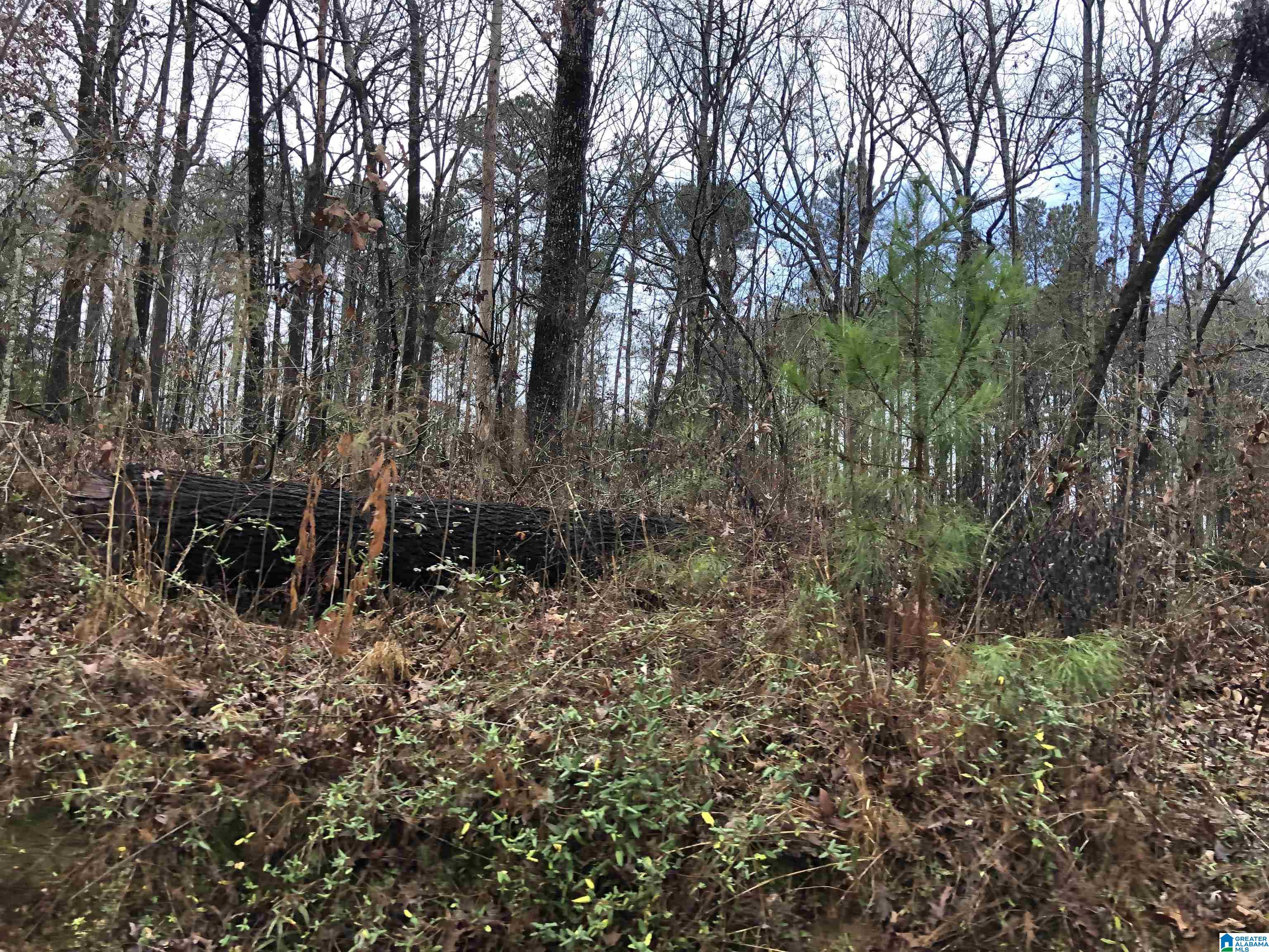 0 Autumn Ridge Trail, Unit 26 Pell City, AL 35128 - Photo 31 of 31