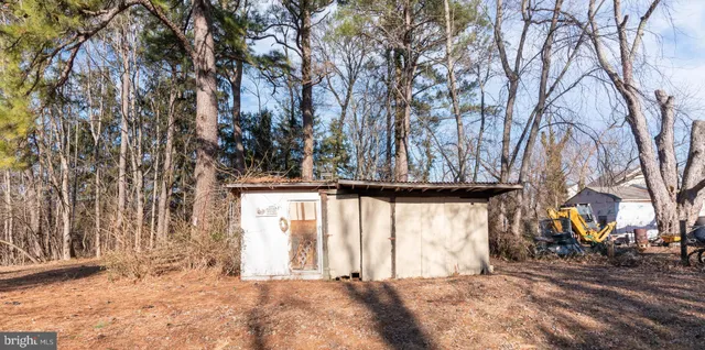 a view of a yard with large trees