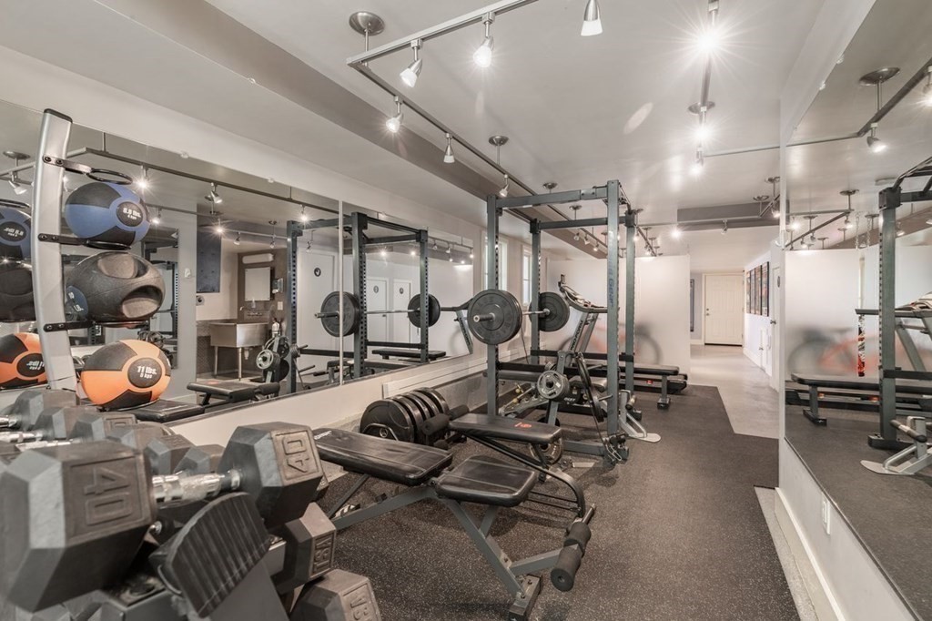 3 Solomon Pierce Road Lexington, MA 02420 - Photo 14 of 18 a view of a room with gym equipment