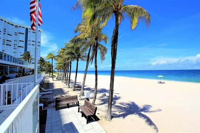 a view of a palm tree with an outdoor space