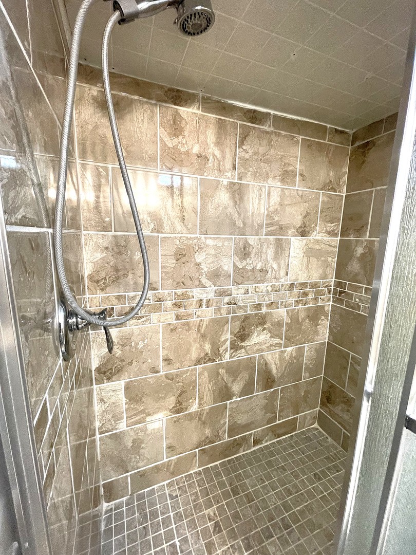 16058 South Gougar Road Homer Glen, IL 60491 - Photo 16 of 25 a bathroom with a shower