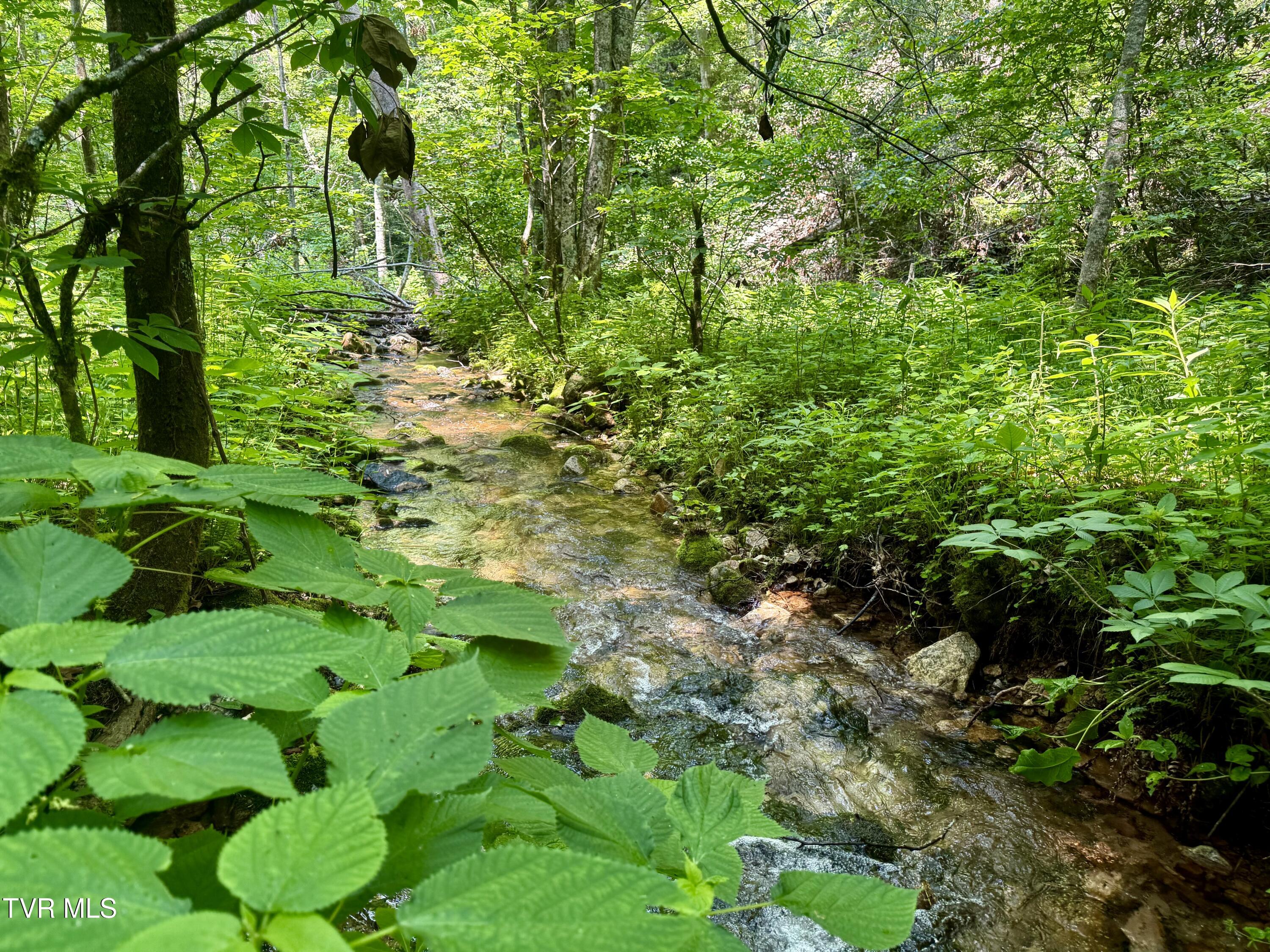 41-ac Roan Creek Road, Unit 2 Butler, TN 37640 - Photo 29 of 44 _Pic29 (33)