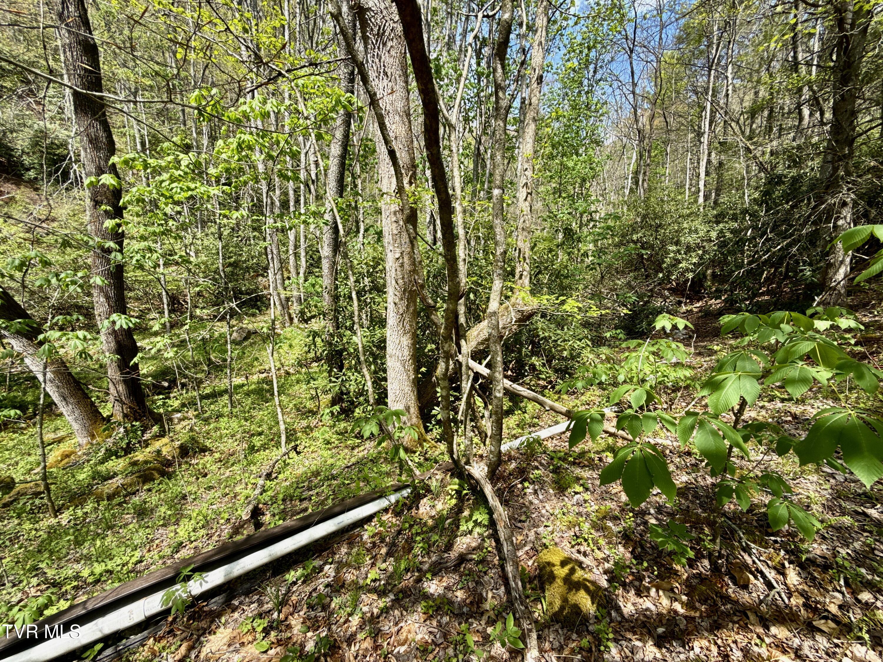 41-ac Roan Creek Road, Unit 2 Butler, TN 37640 - Photo 34 of 44 _Pic34 (31)