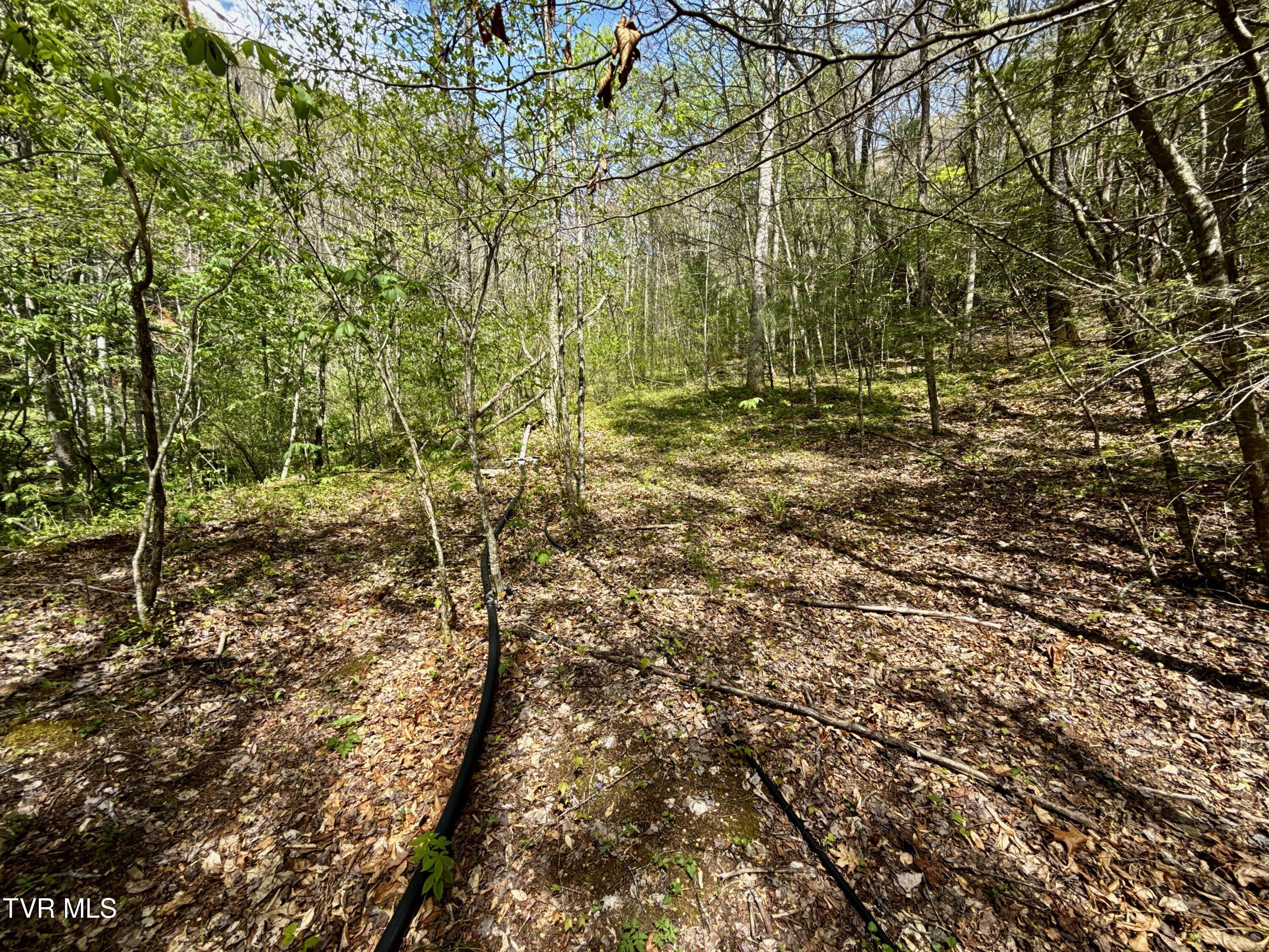 41-ac Roan Creek Road, Unit 2 Butler, TN 37640 - Photo 37 of 44 _Pic37 (30)