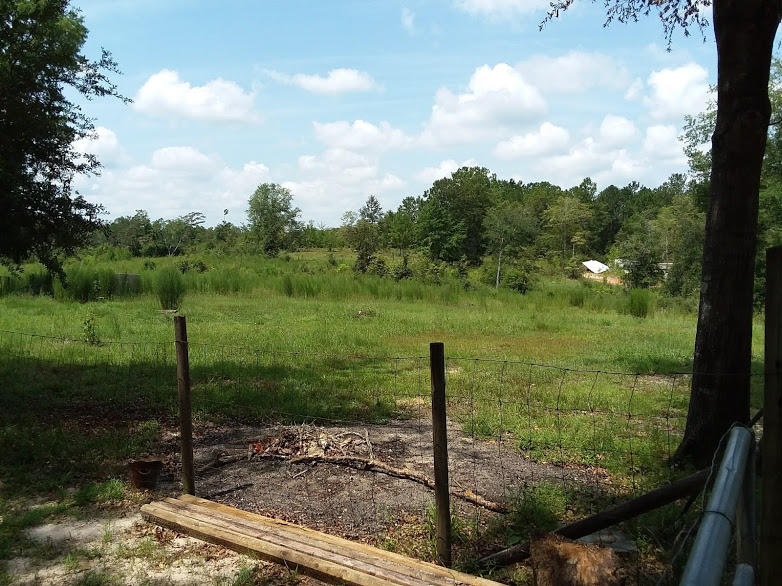Tbd 7.5-ac Poverty Creek Road Crestview, FL 32539 - Photo 17 of 18 a view of a garden from a balcony