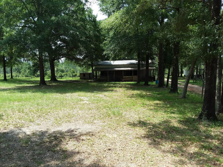 Tbd 7.5-ac Poverty Creek Road Crestview, FL 32539 - Photo 18 of 18 a view of a backyard with large trees