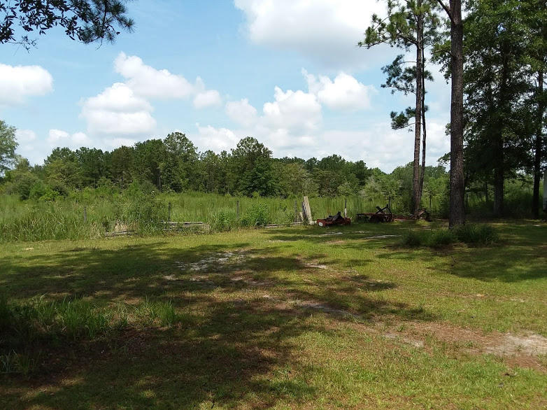 Tbd 7.5-ac Poverty Creek Road Crestview, FL 32539 - Photo 3 of 18 a view of a field with an trees