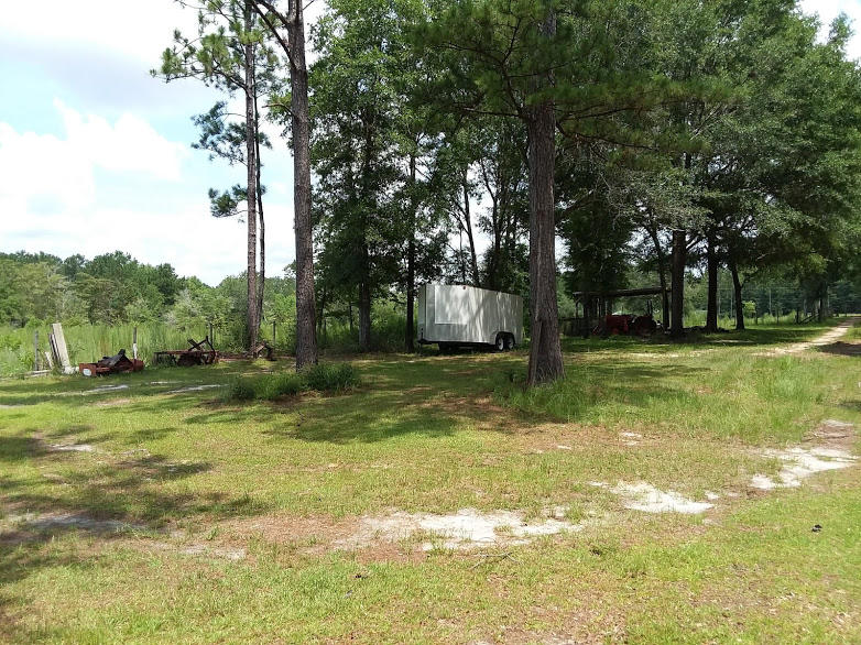 Tbd 7.5-ac Poverty Creek Road Crestview, FL 32539 - Photo 5 of 18 a view of a trees in a yard
