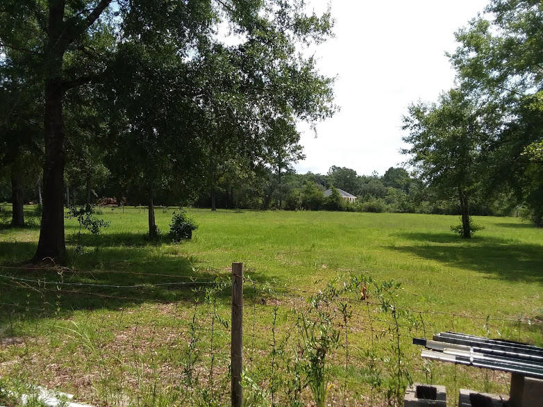 Tbd 7.5-ac Poverty Creek Road Crestview, FL 32539 - Photo 6 of 18 a view of a garden with a tree