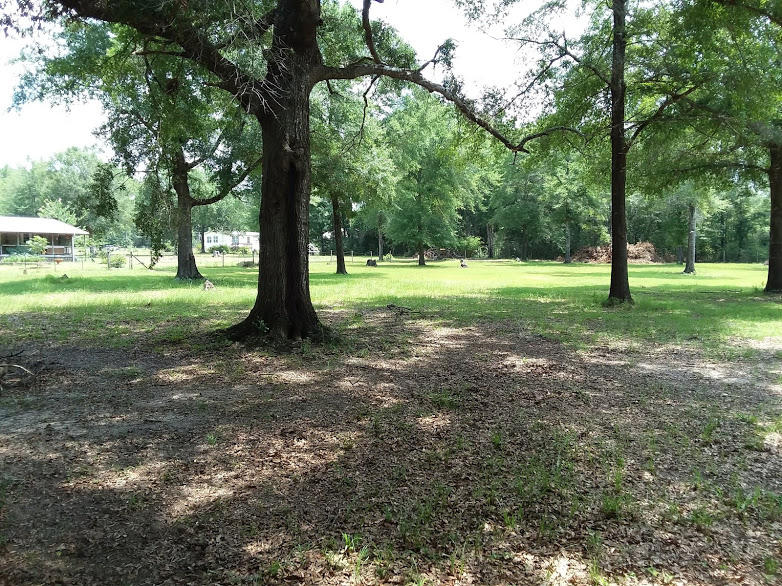 Tbd 7.5-ac Poverty Creek Road Crestview, FL 32539 - Photo 7 of 18 a view of outdoor space and yard