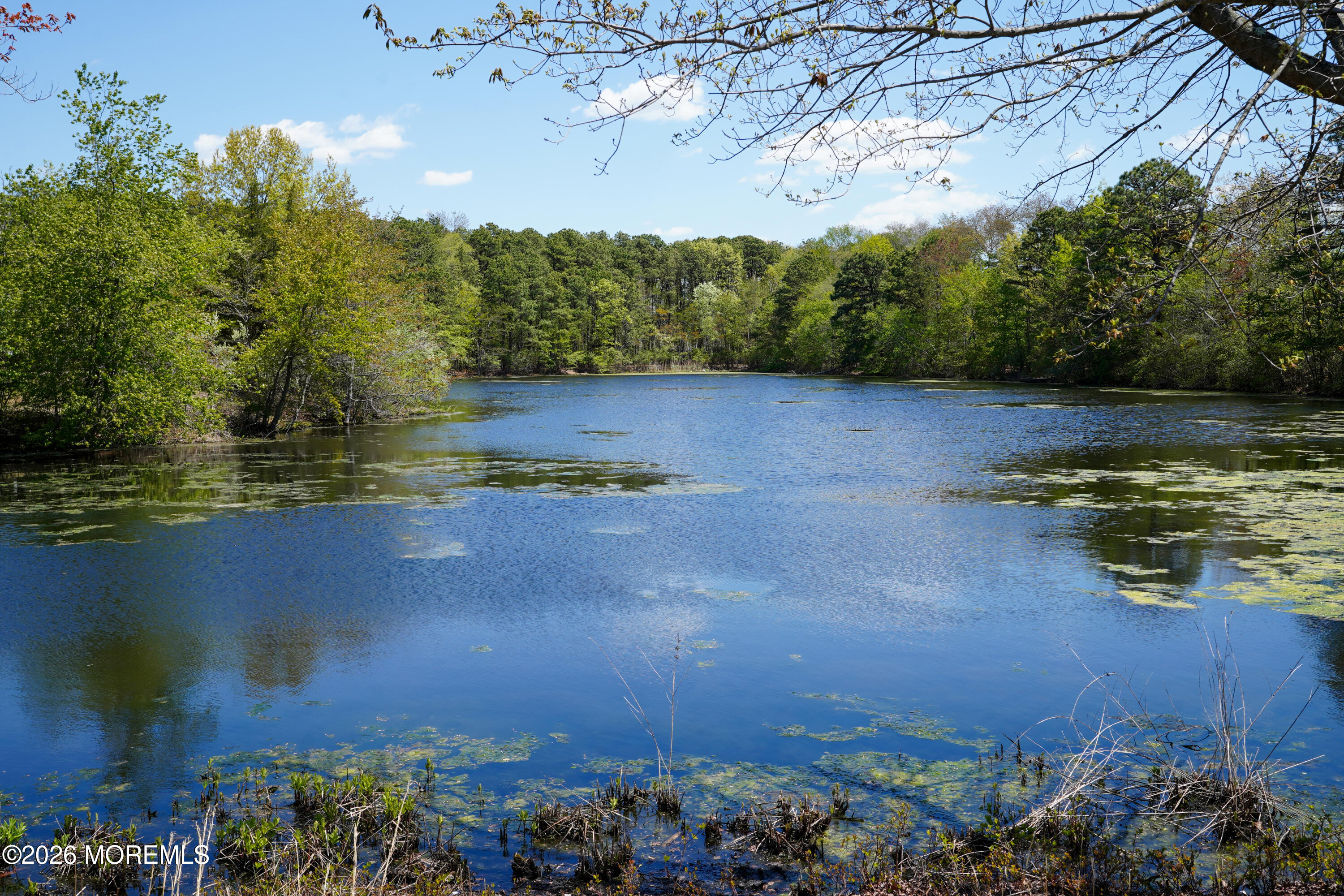 3 Stork Lane Howell, NJ 07731 - Photo 60 of 67 DSC04239