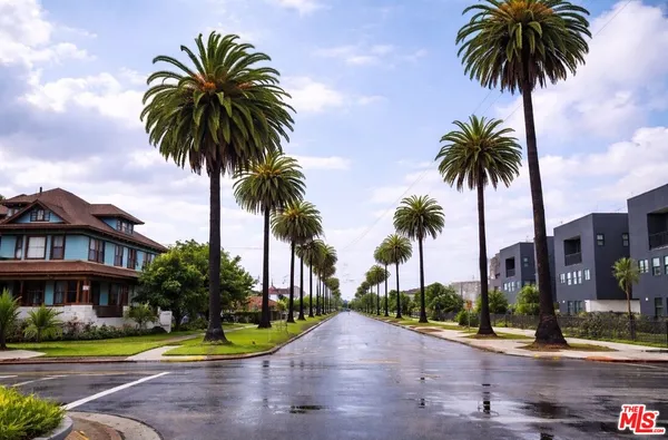a view of a palm trees in front of a houses