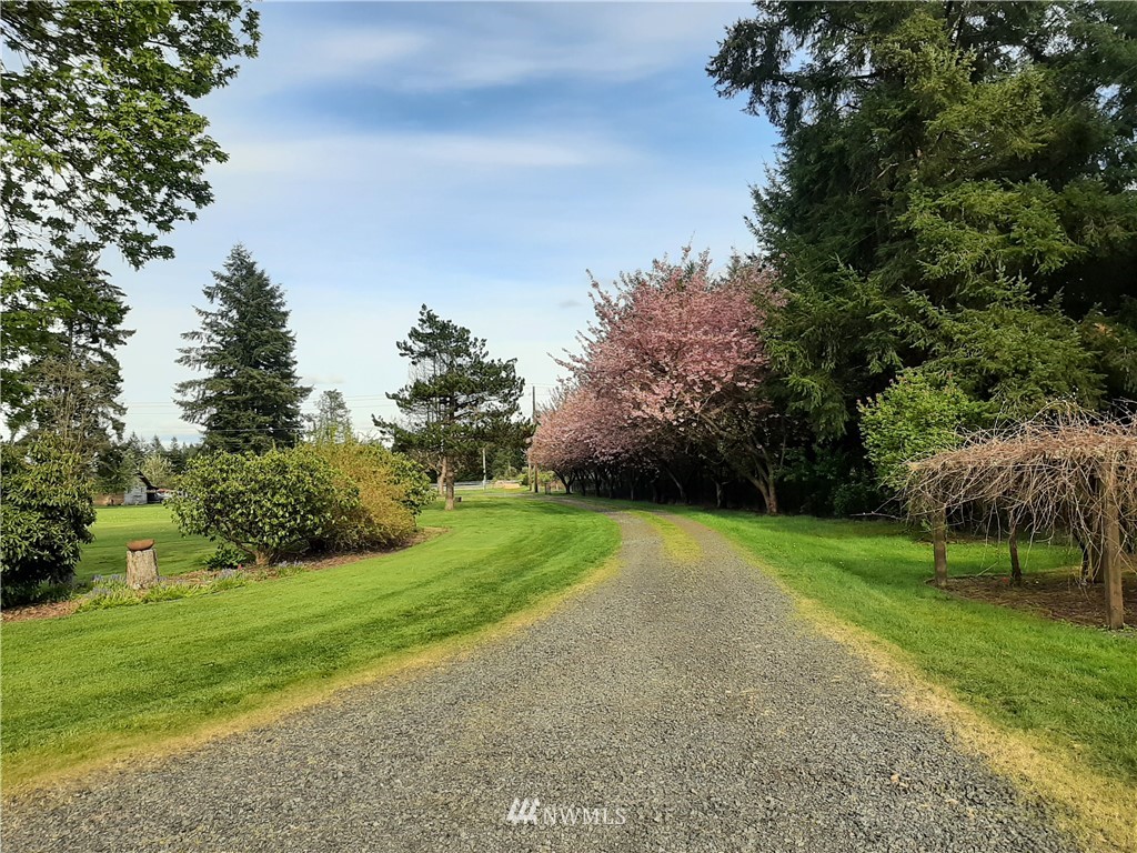 17345 Applegate Street Southwest Rochester, WA 98579 - Photo 5 of 39