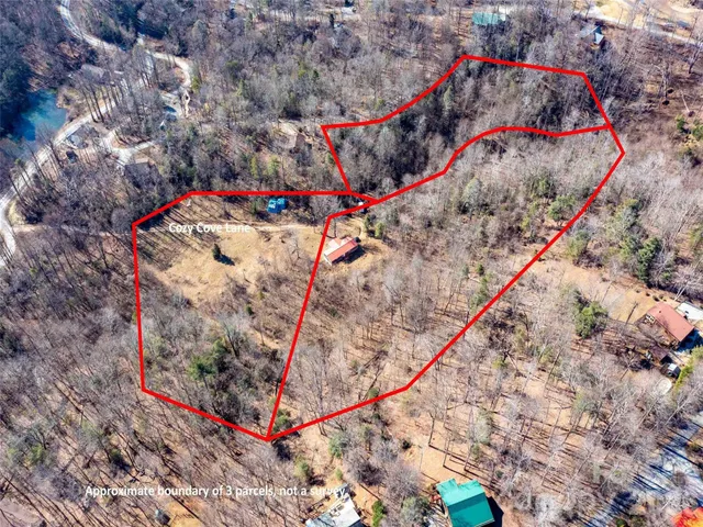 a close up of a plant