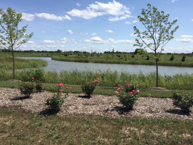 1994 Stapleton Road New Lenox, IL 60451 - Photo 15 of 16 a lake view with a lake view