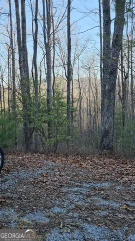 $125,400 | 0 Eagle Eye Trail, Unit 89, Tiger, GA 30576