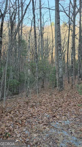 $125,400 | 0 Eagle Eye Trail, Unit 89, Tiger, GA 30576