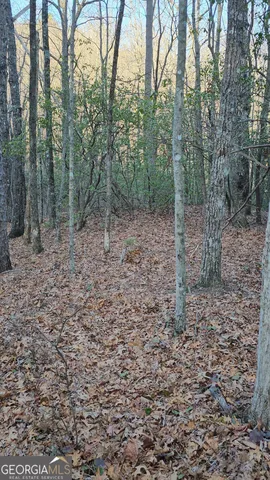 $125,400 | 0 Eagle Eye Trail, Unit 89, Tiger, GA 30576