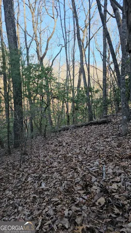 $125,400 | 0 Eagle Eye Trail, Unit 89, Tiger, GA 30576