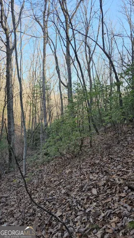 $125,400 | 0 Eagle Eye Trail, Unit 89, Tiger, GA 30576