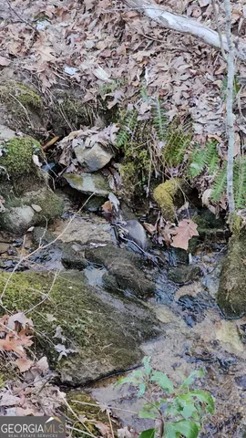 $125,400 | 0 Eagle Eye Trail, Unit 89, Tiger, GA 30576