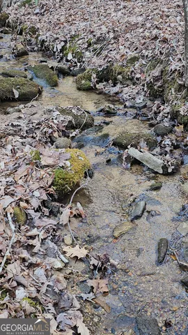 $125,400 | 0 Eagle Eye Trail, Unit 89, Tiger, GA 30576