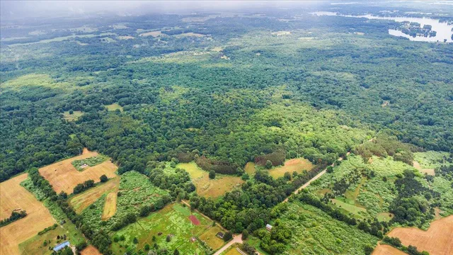 $4,590,000 | 101 North Wyman Road, Remus, MI 49340