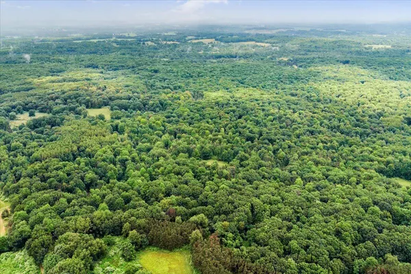 $4,590,000 | 101 North Wyman Road, Remus, MI 49340