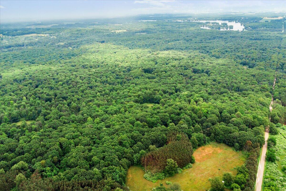 101 North Wyman Road Remus, MI 49340 - Photo 48 of 51 50-DJI_0431